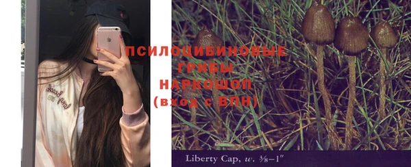 эйфоретик Алексин